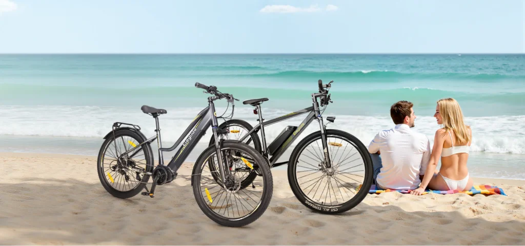 touring e bike